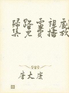 归路电视剧30集免费播放