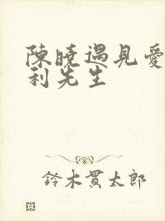 陈晓遇见爱情的利先生