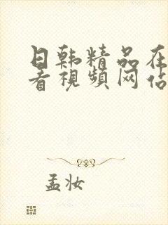 日韩精品在线观看视频网站