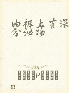 内裤上有深黄色分泌物