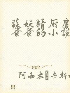 苏妖精厨房爹爹爸爸的小说封面