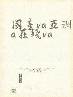 国产va亚洲va在线va