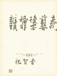 离婚后前夫死对头非要娶我