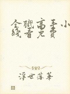 全职高手小说在线看免费