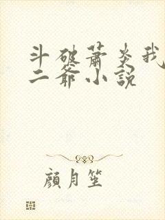 斗破萧炎我是你二爷小说封面