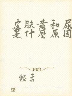 皮肤黄和尿黄又是什么原因