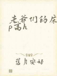 老爷们的床奴np高h