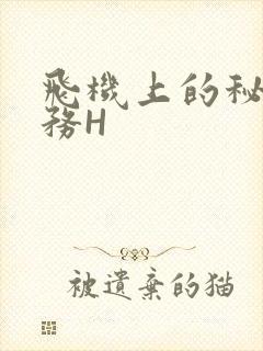 飞机上的秘密服务H