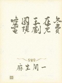 嘘国王在冬眠的电视剧免费看