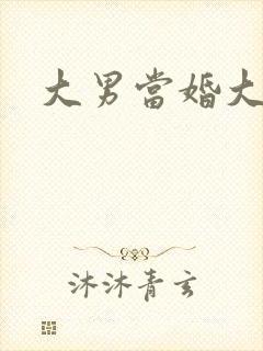 大男当婚大结局