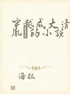 穿越成大清太子胤礽的小说