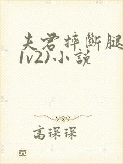 夫君摔断腿后(1v2)小说