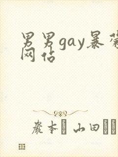 男男gay暴菊网站封面
