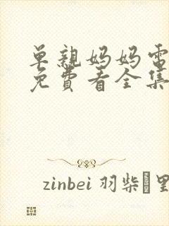 单亲妈妈电视剧免费看全集封面