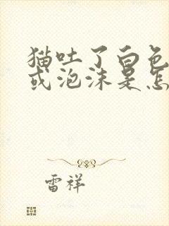 猫吐了白色黏液或泡沫是怎么回事封面