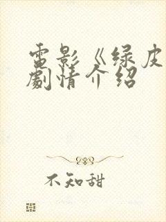 电影《绿皮书》剧情介绍