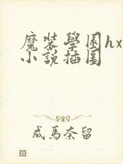 魔装学园hxh小说插图