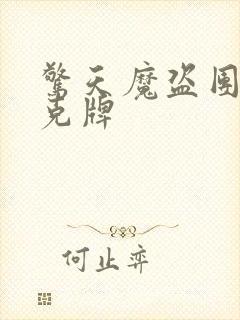 惊天魔盗团2扑克牌