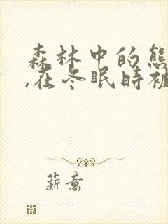 森林中的熊先生,在冬眠时被疼爱了漫画