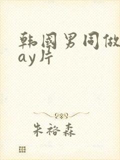 韩国男同做爰gay片