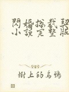 闪婚总裁契约妻小说完整版免费