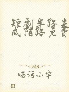 短剧半路夫妻终成陌路免费观看