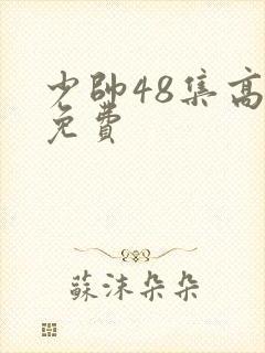 少帅48集高清免费