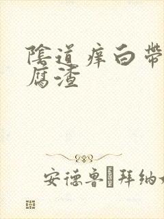 阴道痒白带呈豆腐渣封面