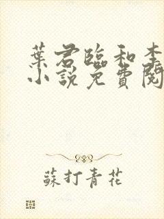 叶君临和李子染小说免费阅读