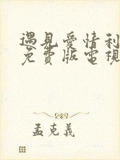 遇见爱情利先生免费版电视剧