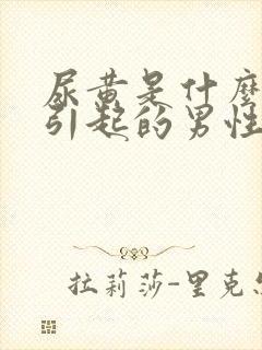 尿黄是什么原因引起的男性