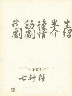 我的后半生电视剧剧情介绍封面