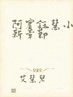 阿宾钰慧小说最新章节