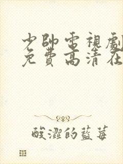 少帅电视剧全集免费高清在线