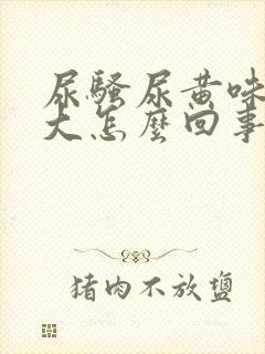 尿骚尿黄味特别大怎么回事