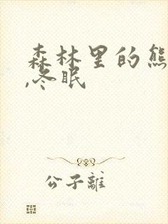 森林里的熊先生,冬眠