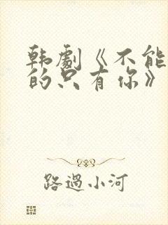 韩剧《不能错过的只有你》免费观看