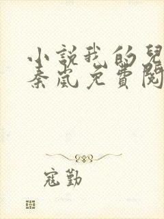 小说我的儿媳是秦岚免费阅读封面