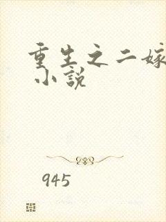 重生之二嫁太子 小说