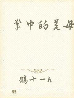 掌中的美母封面