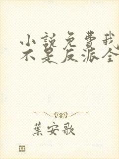 小说免费我真的不是反派全文阅读