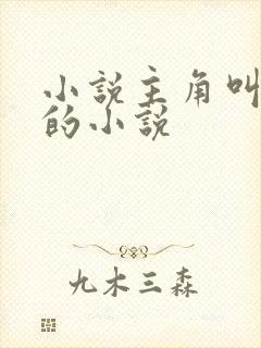 小说主角叫林宇的小说封面