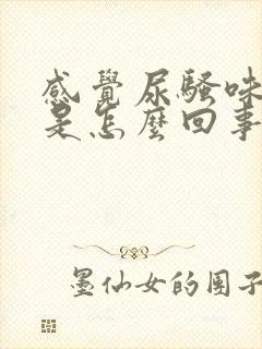 感觉尿骚味很重是怎么回事封面