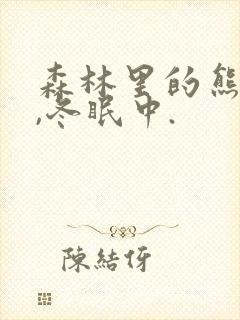 森林里的熊先生,冬眠中.