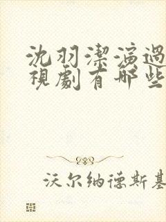 沈羽洁演过的电视剧有哪些