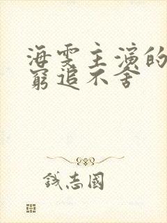 海雯主演的电影穷追不舍