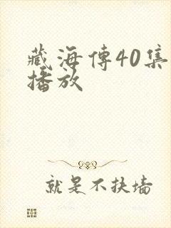 藏海传40集全播放