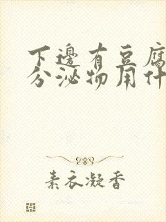 下边有豆腐渣的分泌物用什么药