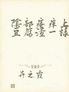 阴部瘙痒上面有豆腐渣一样的东西封面