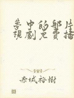 梦中的那片海电视剧免费播放在线